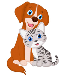 Animals